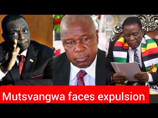 Chris Mutsvangwa faces expulsion as Zanu PF spokesperson after being accused of working against ED