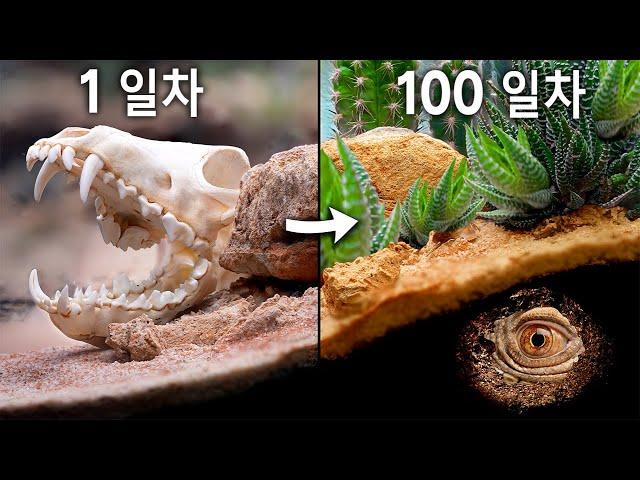 100일간의 아프리카 시뮬레이션