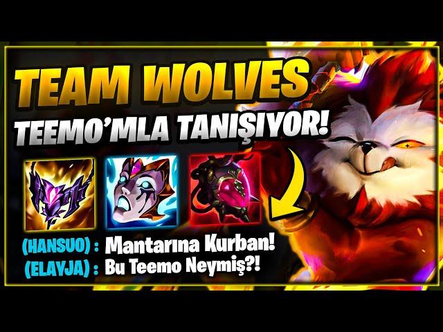 Team Wolves Ekibi EXEF TEEMO'SU İle Tanışıyor