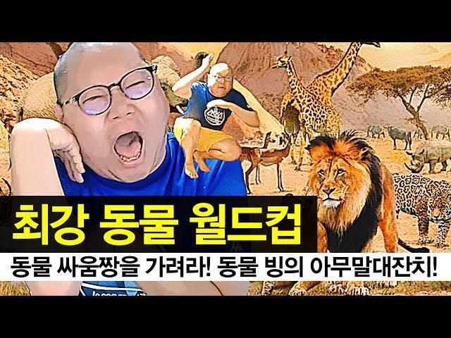 감스트 : 최강 동물 월드컵, 동물 싸움짱을 가려라! 미친 텐션 동물 빙의 아무말대잔치!