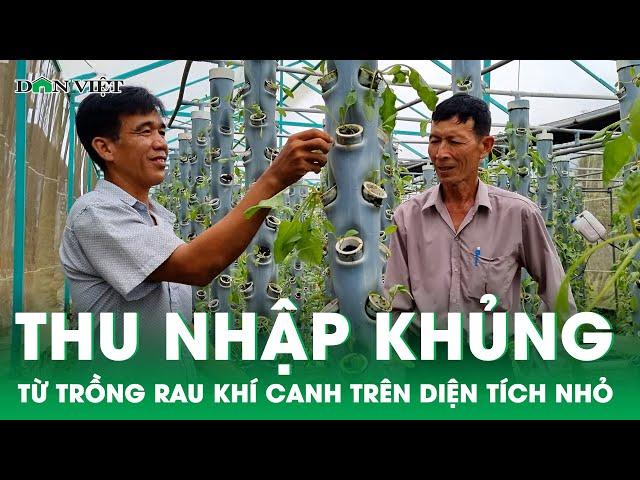 Nông dân trồng rau khí canh trên diện tích nhỏ, thu nhập khủng ở Hậu Giang | Báo điện tử Dân Việt