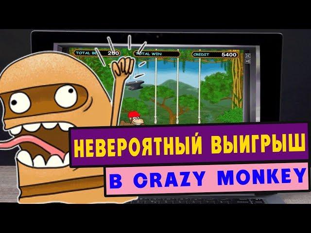 Невероятный выигрыш в Crazy Monkey! Дима поставил казино Вулкан на колени!