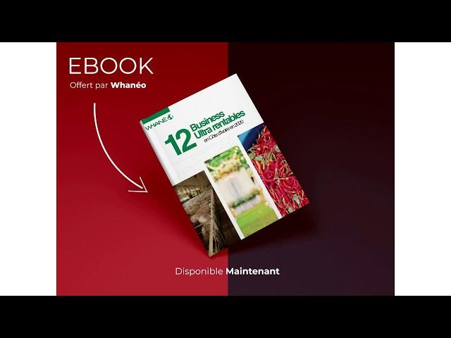 Comment investir ou entreprendre en Côte d'Ivoire ?