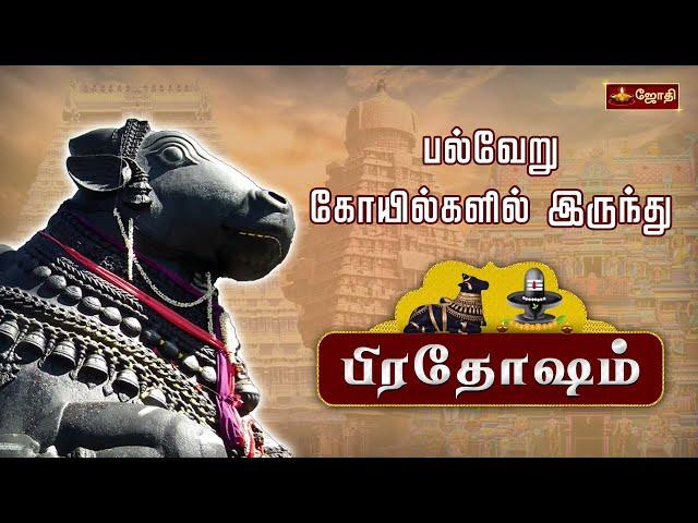 தோஷங்கள் நீங்கும் பிரதோஷம் | Pradhosham பல்வேறு கோவில்களில் இருந்து | Pradhsoam | Jothitv