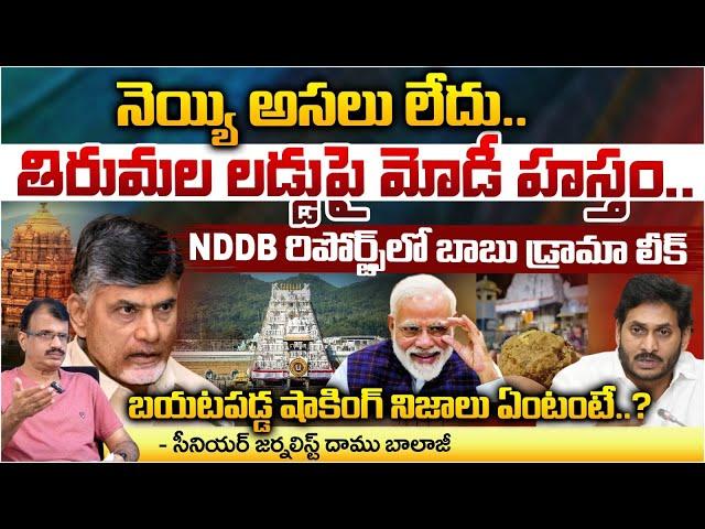 PM Modi Hand In Tirupati Laddu Issue, Chandrababu In Risk ?| Jagan | Daamu Balaji Diaries