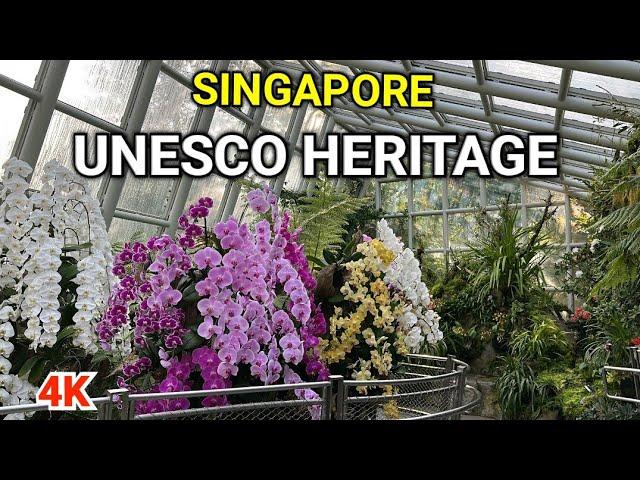 Singapore 4K | Singapore Botanical Garden Tour | Singapore UNESCO World Heritage Sites