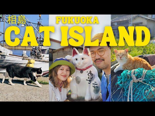 Visiting Japan's Cat Island  Fukuoka Japan Vlog, Kyushu Travel, Ainoshima, Aoshima, Tashirojima