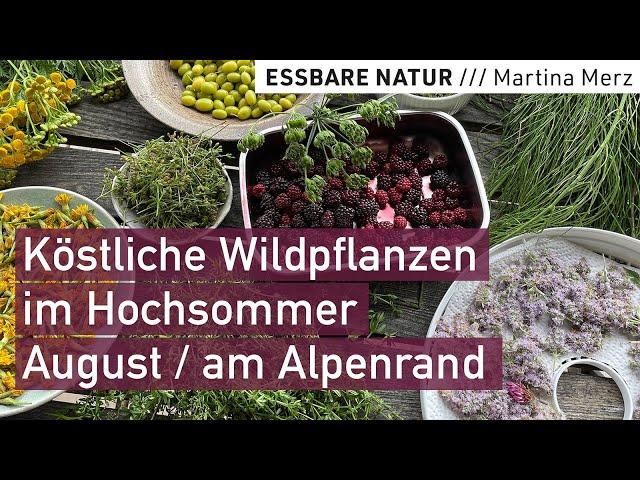 Wildpflanzenernte im Hochsommer // Essbare Blüten, Kräuter & Früchte: Sammeln. Bestimmen. Zubereiten