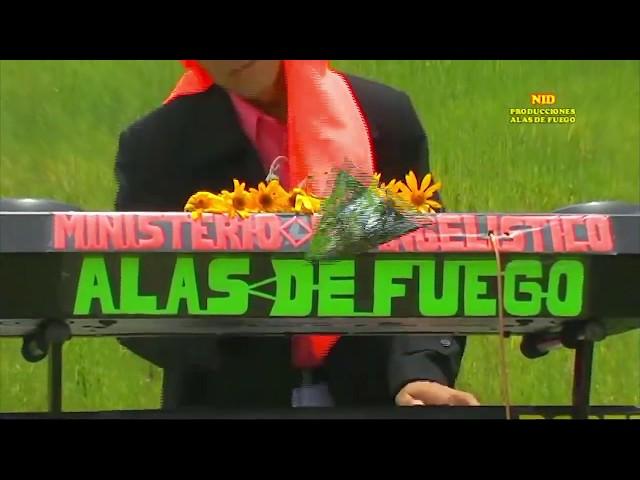 Alas de Fuego Vol.6 | Tema 8: Unge Toda mi Vida | Video Oficial HD