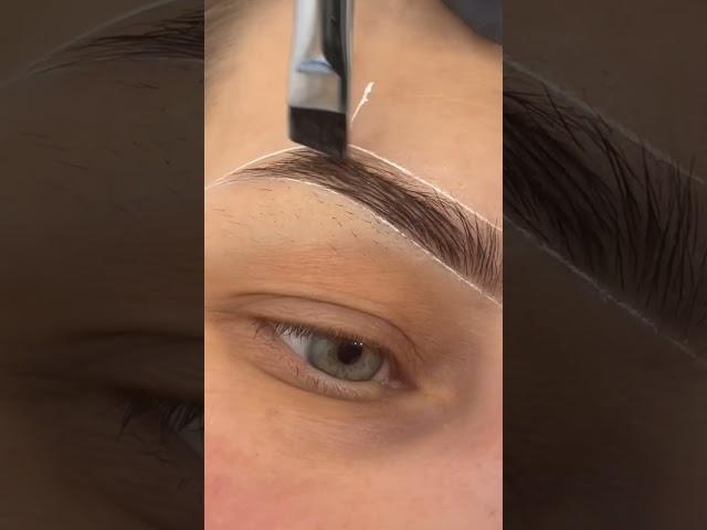 Эксперимент окончен 🫡 #брови #бровист #польза #бьютисоветы #brows #бьюти #beauty