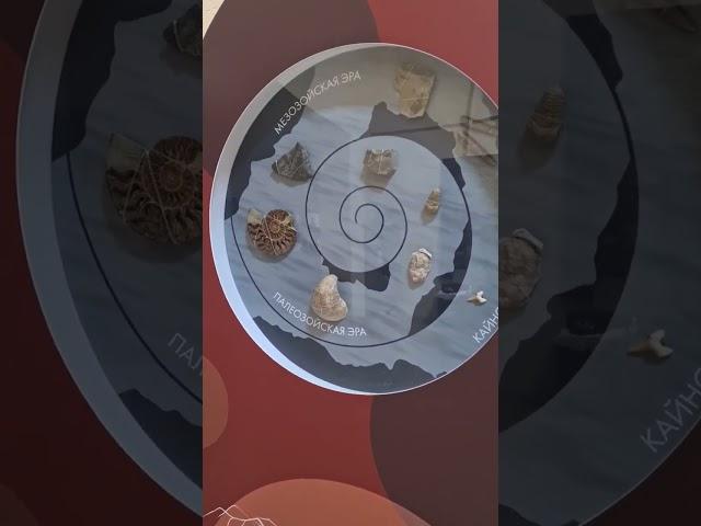 История фауны и флоры в Сириусе!