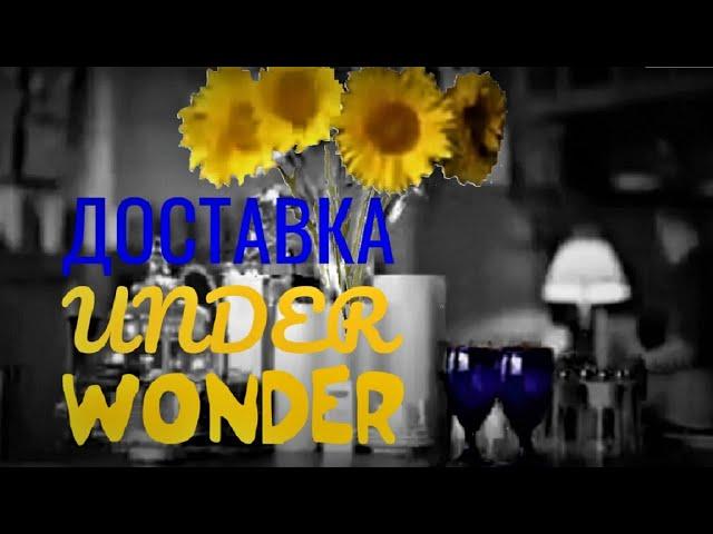  Ресторан "UNDER WONDER". Доставка.