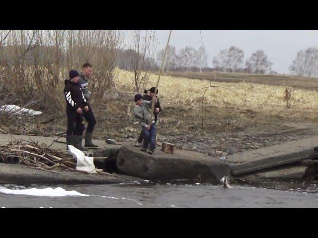 Паук,кривда, щука ранней весной! Spider, crooked, pike in early spring!