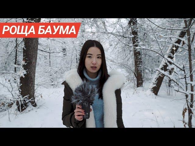 Обзор на Рощу Баума в Алматы | Парк насильников и убийц?