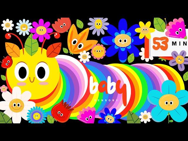 Bright Baby Sensory Caterpillar In Flower Garden! High Contrast Video Bach Baby Brain Development