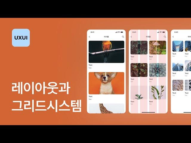 앱 디자인 레이아웃과 그리드 시스템 - UXUI 디자인 강좌 2-2