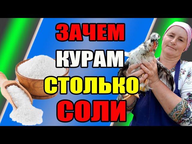 Зачем курам столько СОЛИ. Как правильно добавлять СОЛЬ в питание кур.