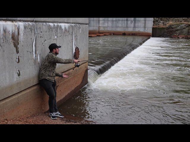 West Virginia MUSKY Fishing is AMAZING!