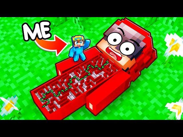 I Turned Cash into a Maze in Minecraft!