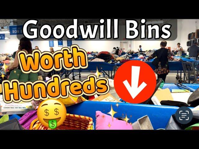 WOW What A Great Day | Let’s Go Thrifting at the Goodwill Bins | Shop With Me for Vintage to Resell