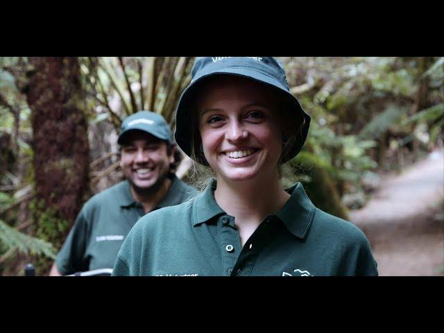 Volunteer in Victoria's parks