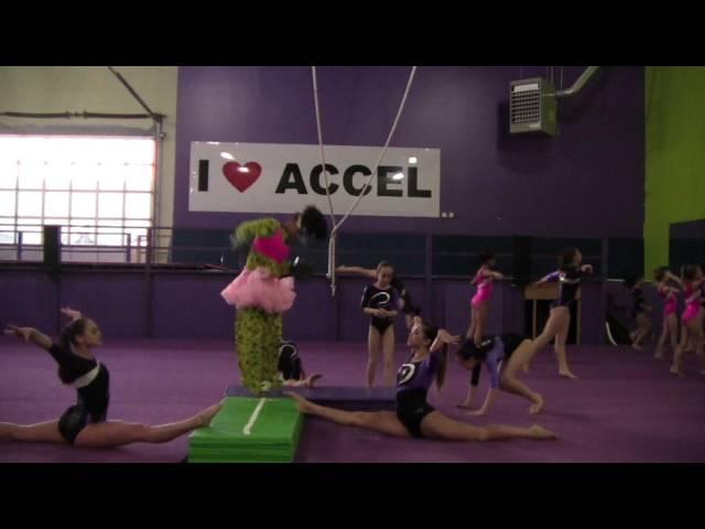 Harlem Shake Accel Gymnastics Style!