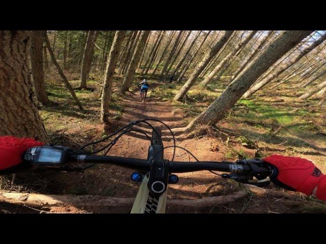 Ballo Enduro Stage 4, E-Bikes