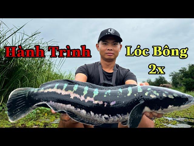 Hành Trình Truy Tìm Lóc Bông 2x ( tập 1 )