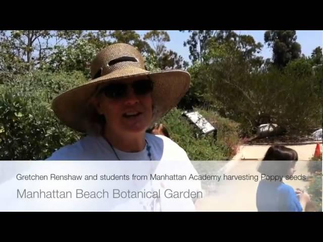 Manhattan Beach Botanical Garden