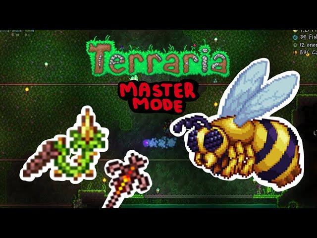 Terraria 1.4 Master Mode Summoner - Queen Bee Fight