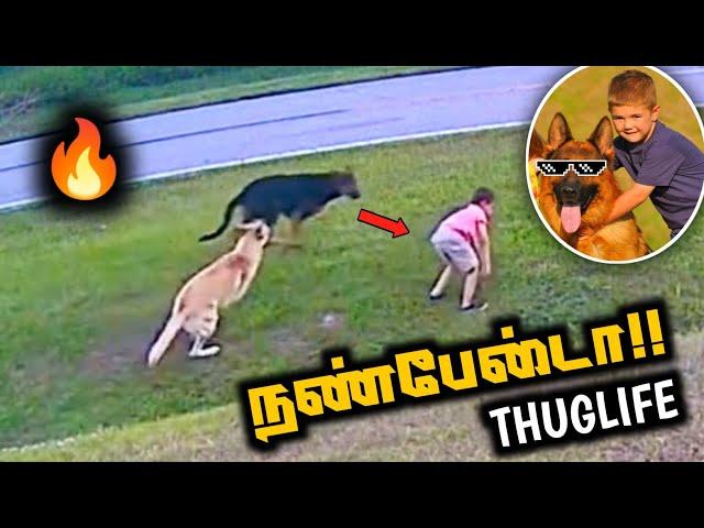 நண்பேன்டா Thuglife  German shepherd Thuglife | Boy Thuglife #thuglife #nanbenda