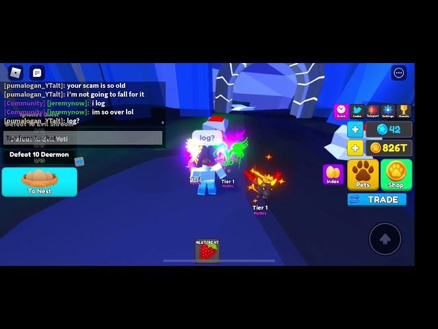 Pet Swarm Simulator (Scammer evidence)