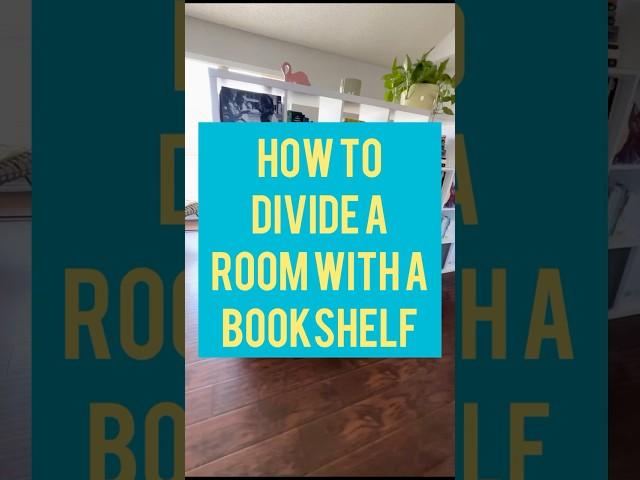 Bookshelf Room Divider