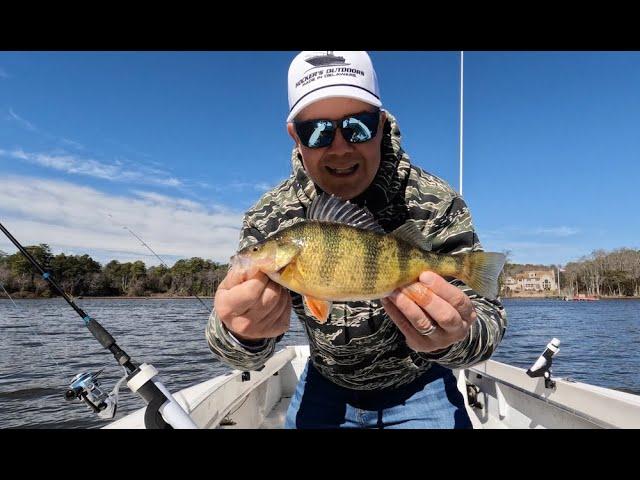 Yellow Perch Time Again! - The "Unofficial" start to our fishing season- DelMarva's Eastern Shore!