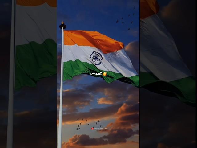 Independence day song ️ | Independence day status | 15 August status