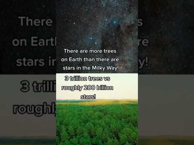 There are more trees than stars in the Milky Way!  #Shorts