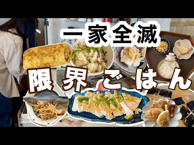 高熱一家全滅。買い出しにも行けない２日間のごはん記録【料理動画】