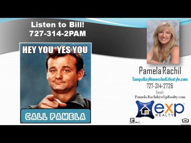 #1 Sales Agent Palm Harbor Florida
