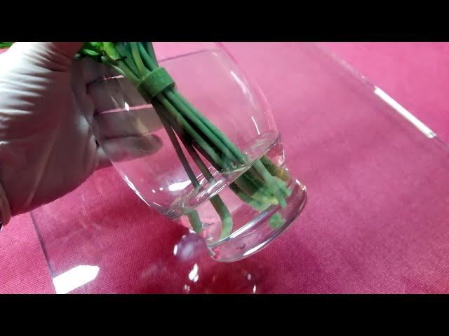 Clear Epoxy Resin For Floral Arranging MAX TCR A/B. Water Simulation For Glass Vase.