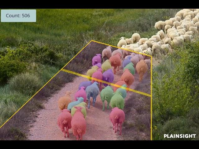 Plainsight vision AI for livestock management.