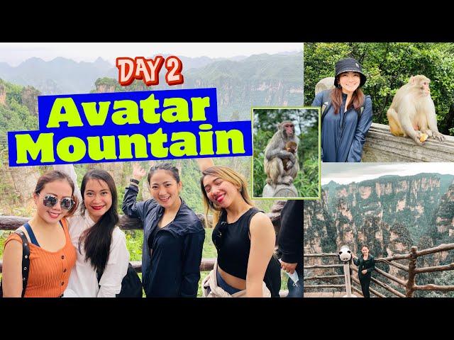 Zhangjiajie Travel Vlog | Day 2: tianzi mountain + bailong elevator + whip river + night swimming