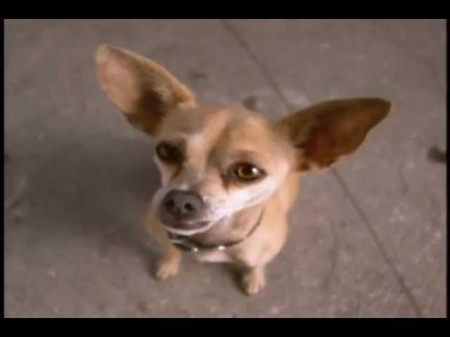 Taco Bell - Chihuahua (1997, USA)