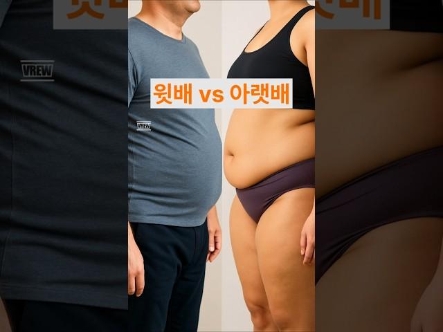 윗배 vs 아랫배, 뭐가 다를까? #윗배아랫배 #뱃살빼는법 #내장지방 #피하지방 #짬타이밍