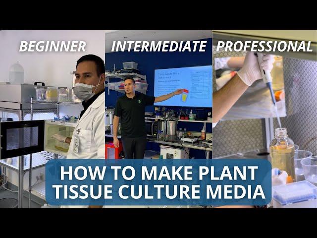 How To Make Plant Tissue Culture Media: The Ultimate Guide (Beginner, Intermediate, and Pro)