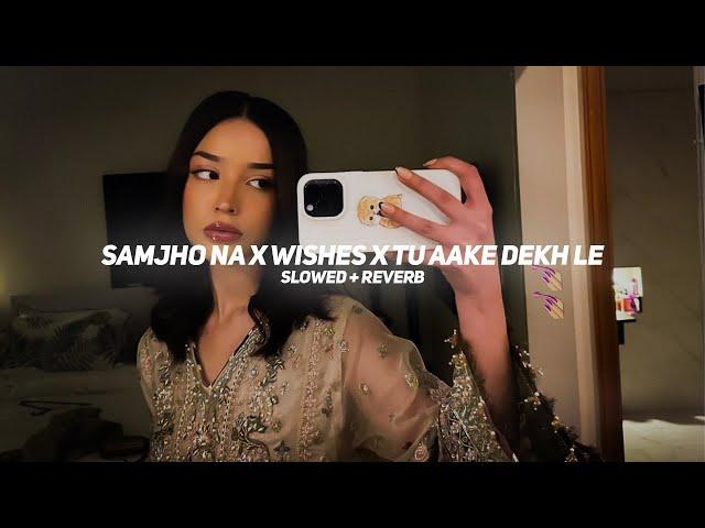 Samjho Na X Wishes x Tu Aake Dekh Le (Slowed + Reverb) | BARATO NATION