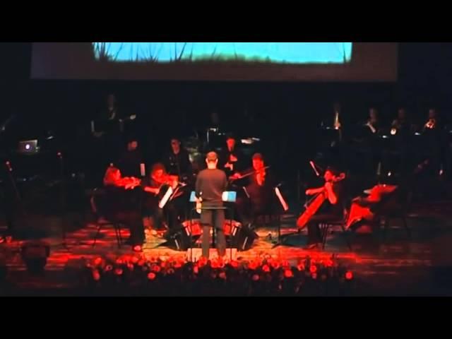 Hai Meirzadh - Shoresh (Root), Performed by the Revolution Orchestra