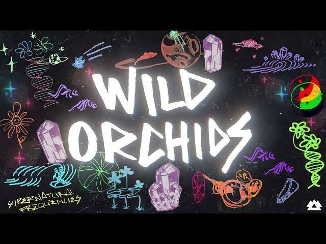 LSDREAM, Karra - Wild Orchids [OFFICIAL VISUALIZER]