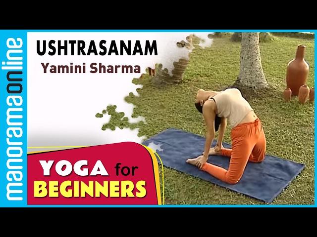 Ushtrasanam  | Yoga for beginners by Yamini Sharma | Health Benefits | Manorama Online