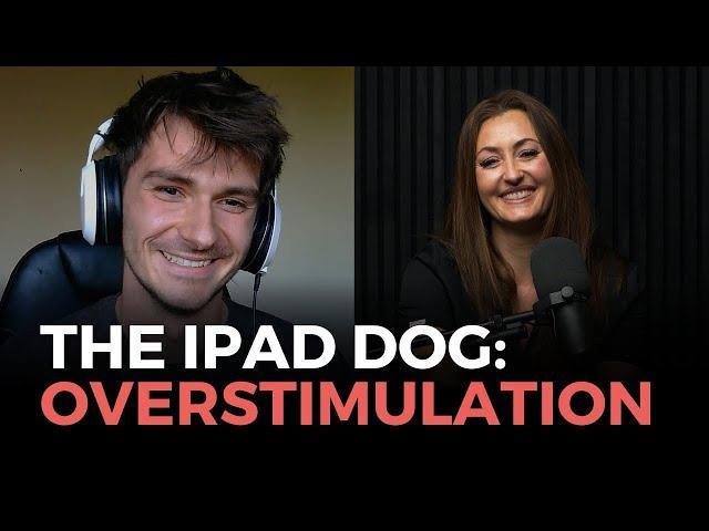 The iPad Dog: Overstimulation and Its Impact on Your Dog’s Behaviour