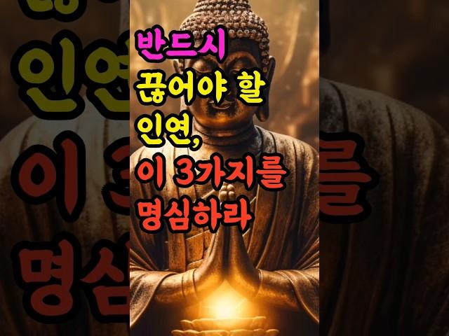 "반드시 끊어야 할 인연, 이 3가지를 명심하라" #부처님말씀 #불교명언 #삶의지혜 #인생조언 #처세술 #감정정화 #불교지혜 #마음공부 #인간관계 #오디오북